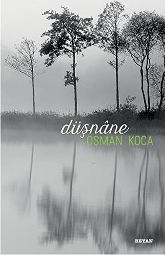 Düşnane kitap kapağı