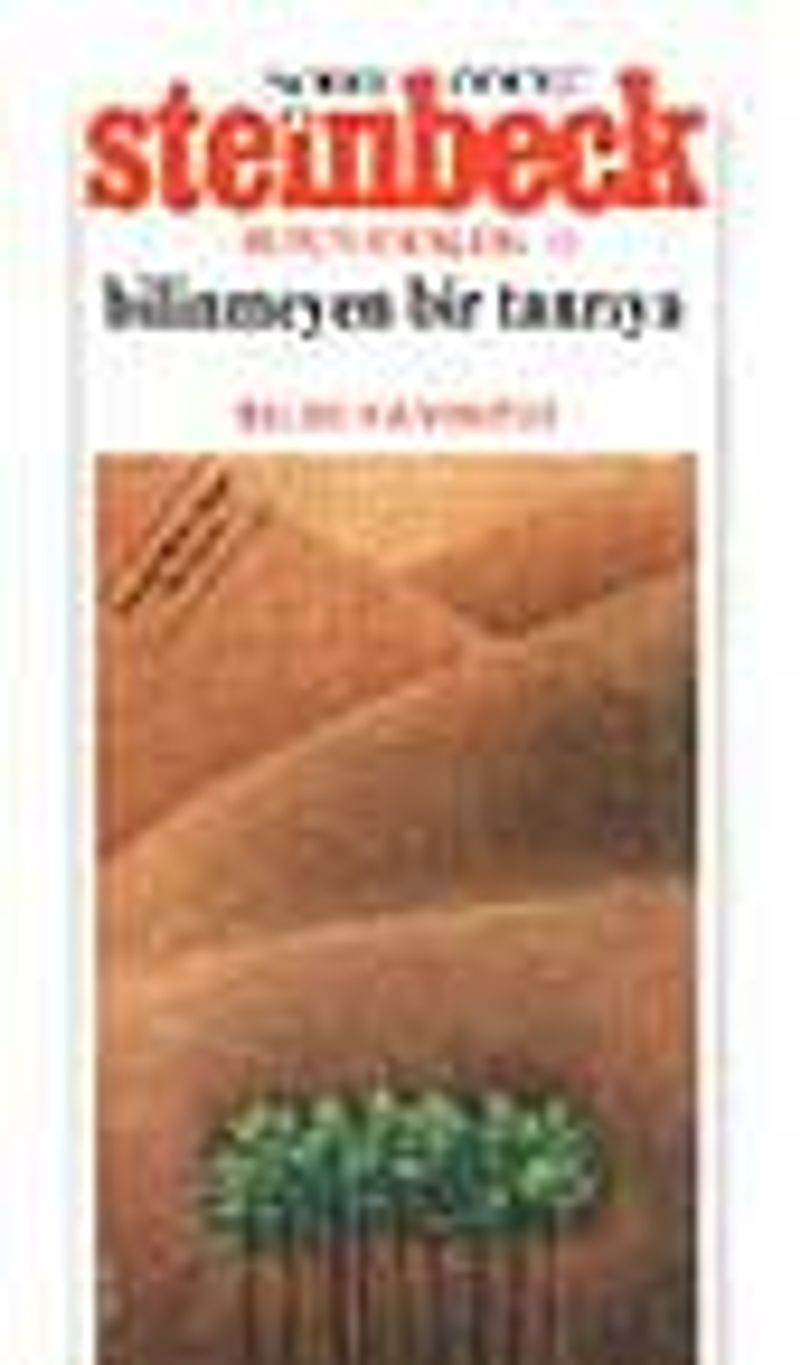 Bilinmeyen Bir Tanrıya kitap kapağı