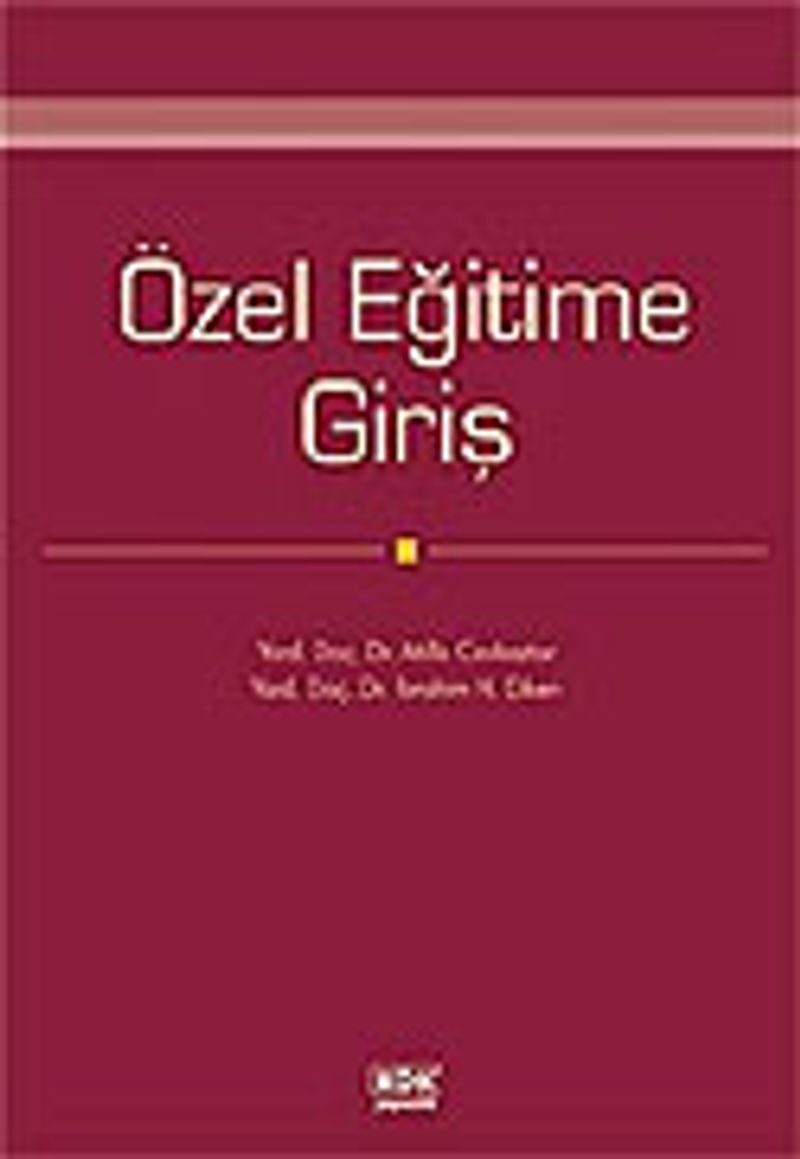 Özel Eğitime Giriş kitap kapağı