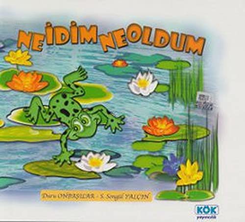 Ne İdim Ne Oldum kitap kapağı