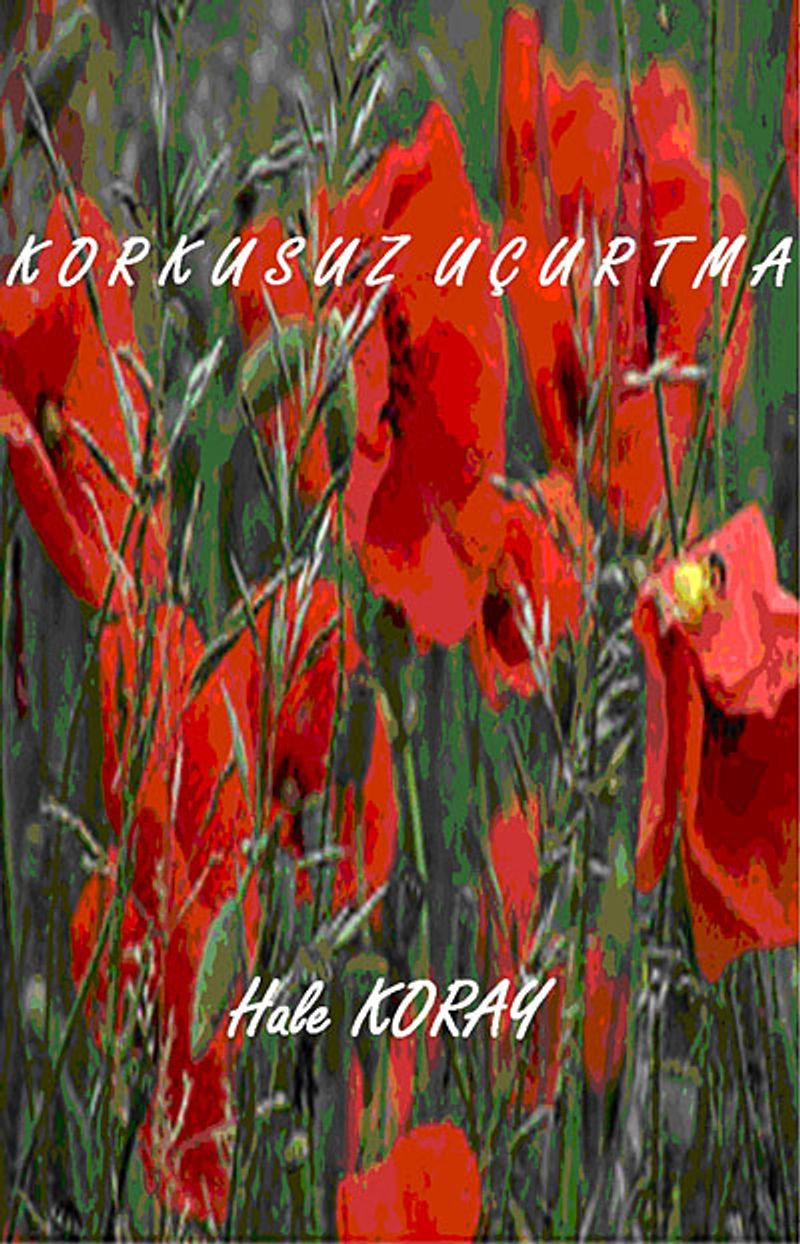 Korkusuz Uçurtma kitap kapağı
