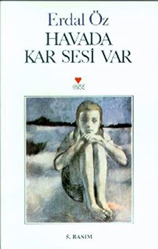 Havada Kar Sesi Var kitap kapağı
