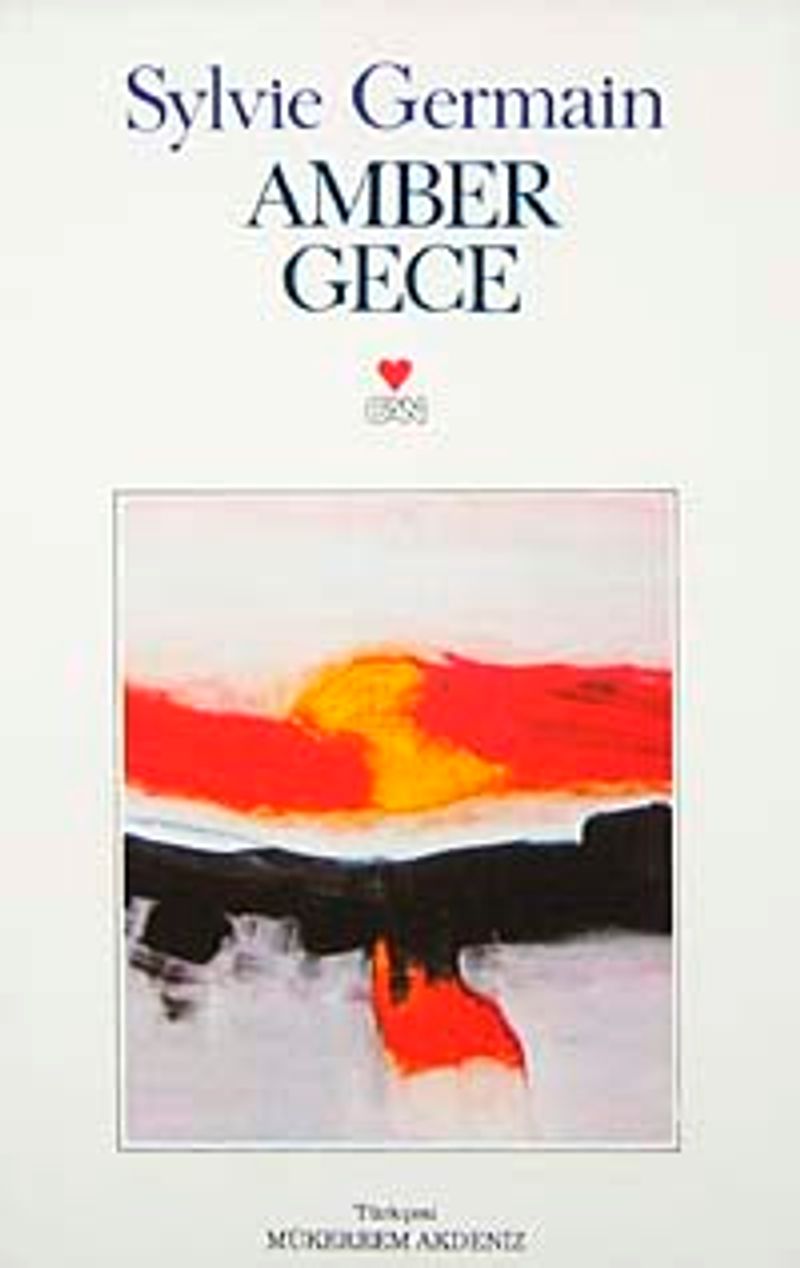 Amber Gece kitap kapağı