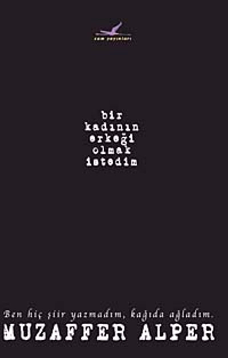 Bir Kadının Erkeği Olmak İsterdim kitap kapağı