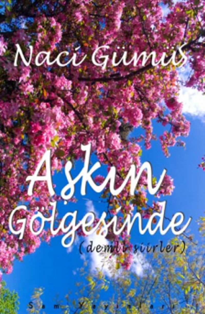 Aşkın Gölgesinde kitap kapağı