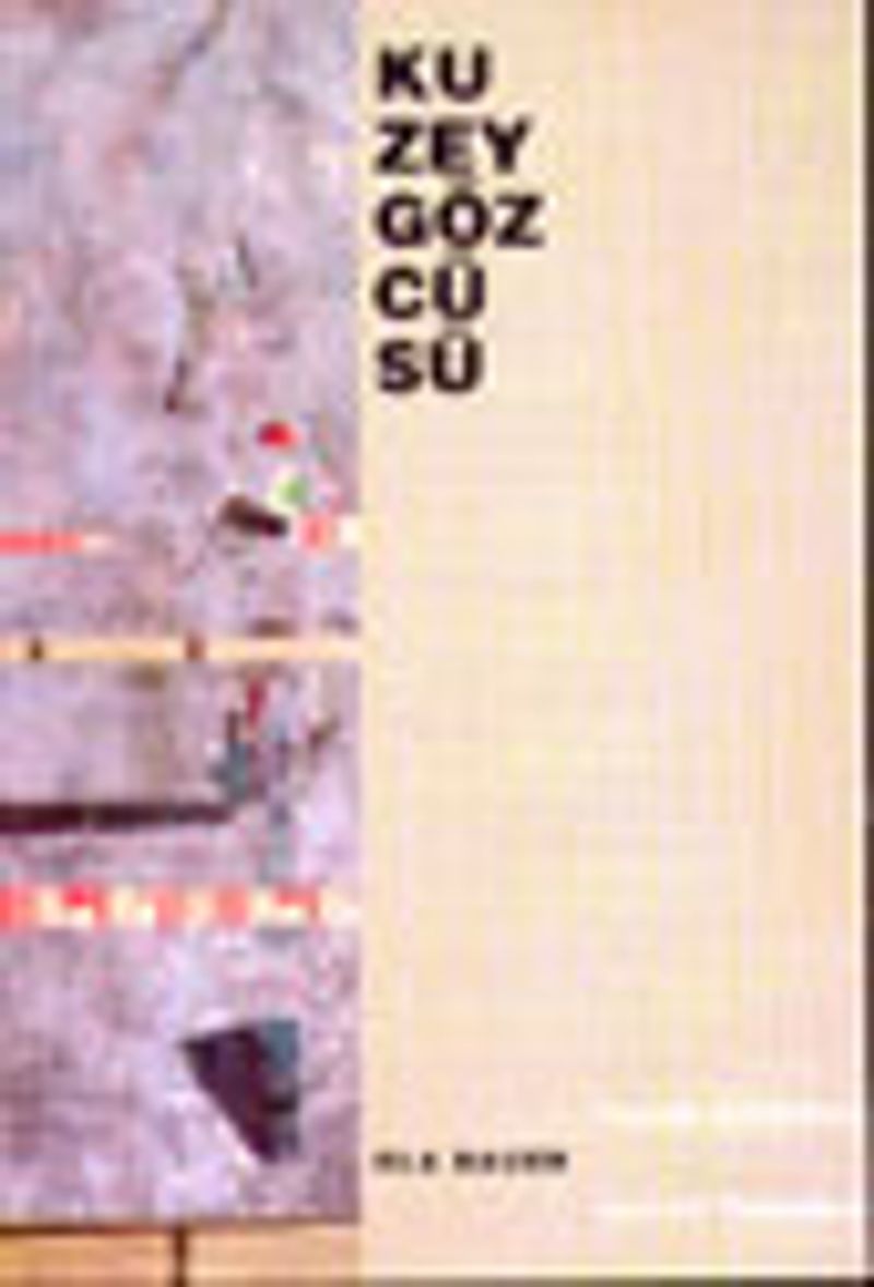 Kuzey Gözcüsü kitap kapağı