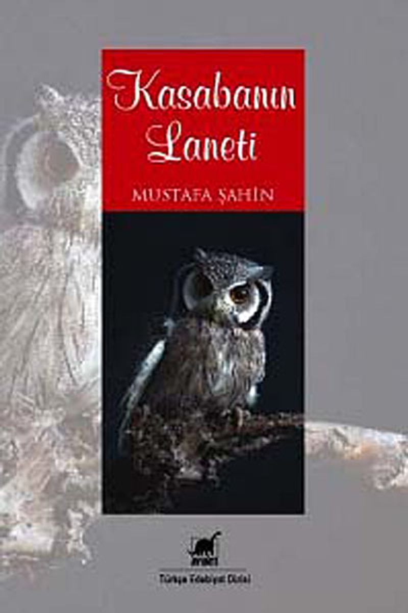Kasabanın Laneti kitap kapağı