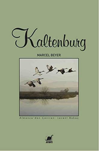 Kaltenburg kitap kapağı