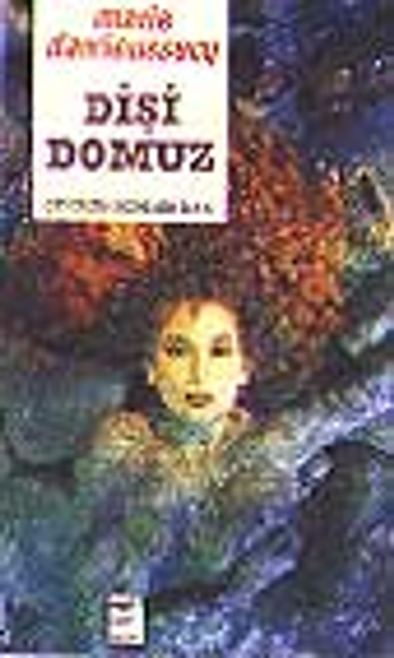 Dişi Domuz kitap kapağı