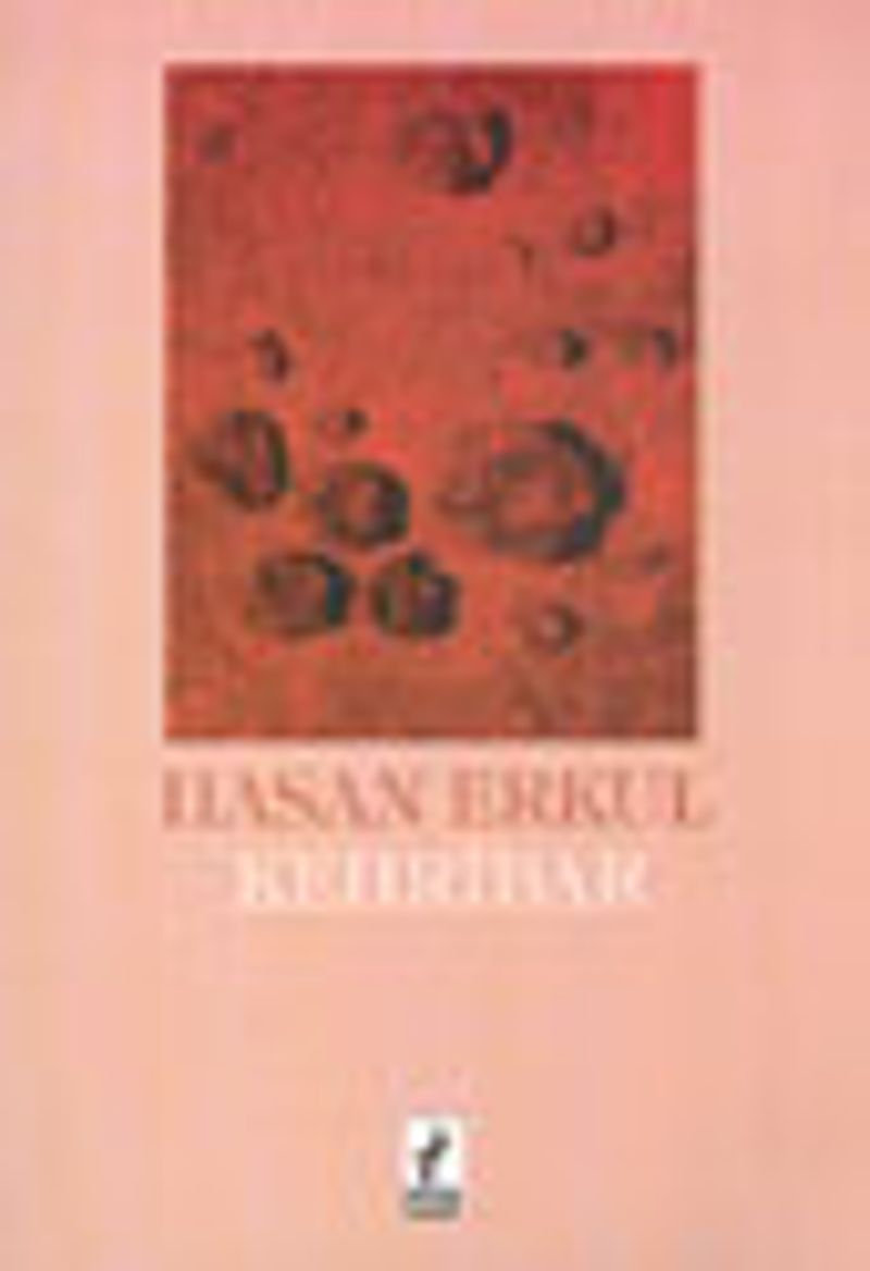 Kehribar kitap kapağı
