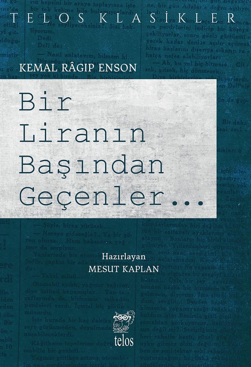 Bir Liranın Başından Geçenler kitap kapağı