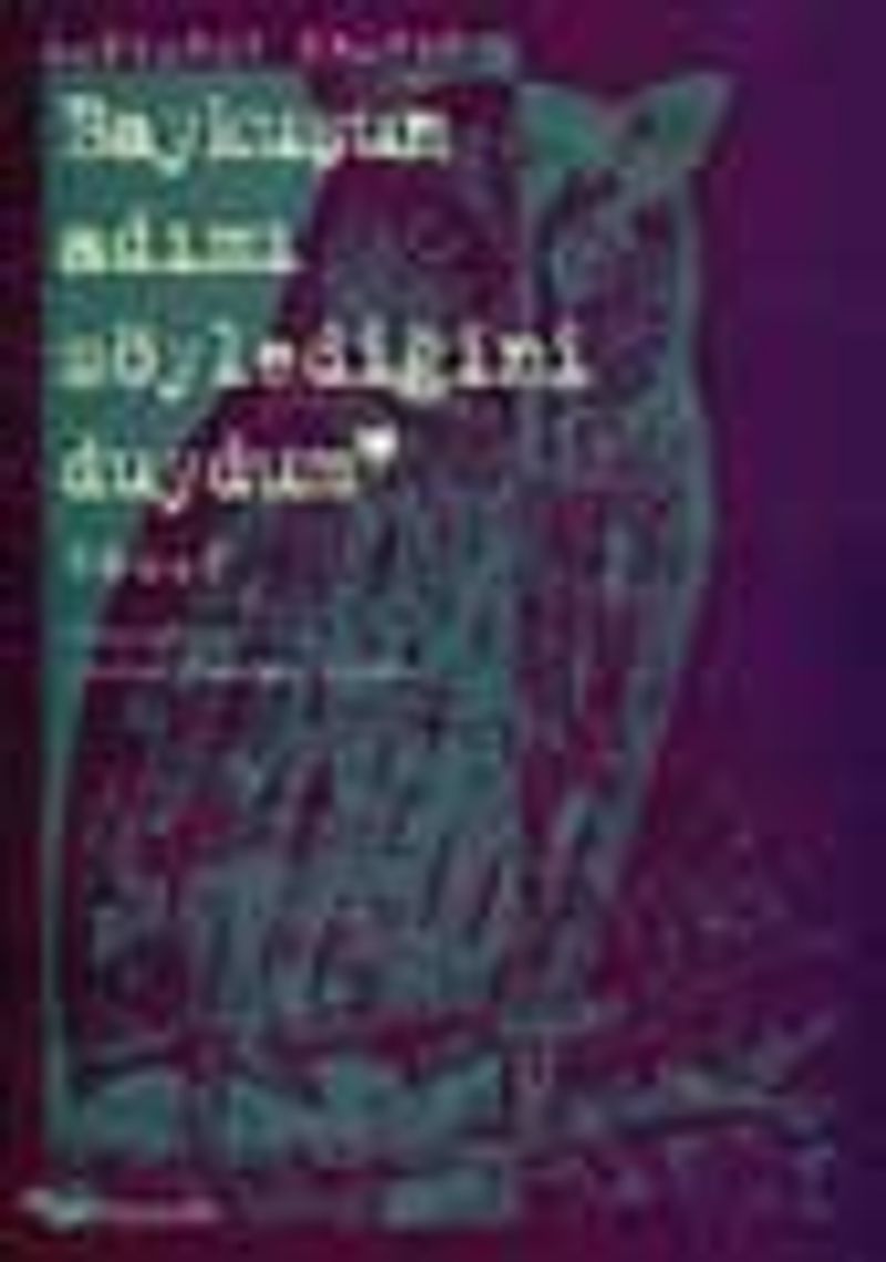 Baykuşun Adımı Söylediğini Duydum kitap kapağı