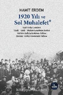 1920 Yılı ve Sol Muhalefet kitap kapağı