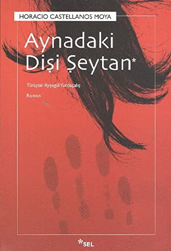 Aynadaki Dişi Şeytan kitap kapağı