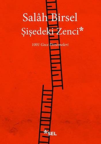 Şişedeki Zenci (1001 Gece Denemeleri) kitap kapağı