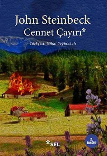 Cennet Çayırı kitap kapağı