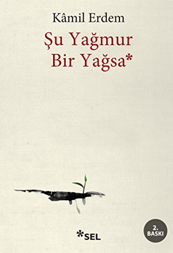Şu Yağmur Bir Yağsa kitap kapağı