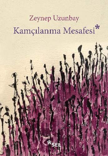 Kamçılanma Mesafesi kitap kapağı