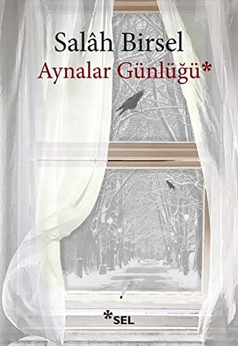 Aynalar Günlüğü kitap kapağı