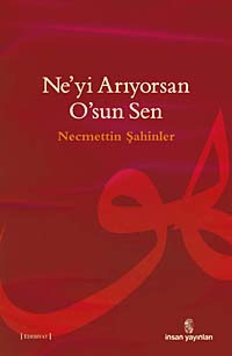 Ne'yi Arıyorsan O'sun Sen kitap kapağı