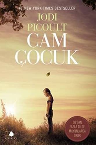 Cam Çocuk kitap kapağı