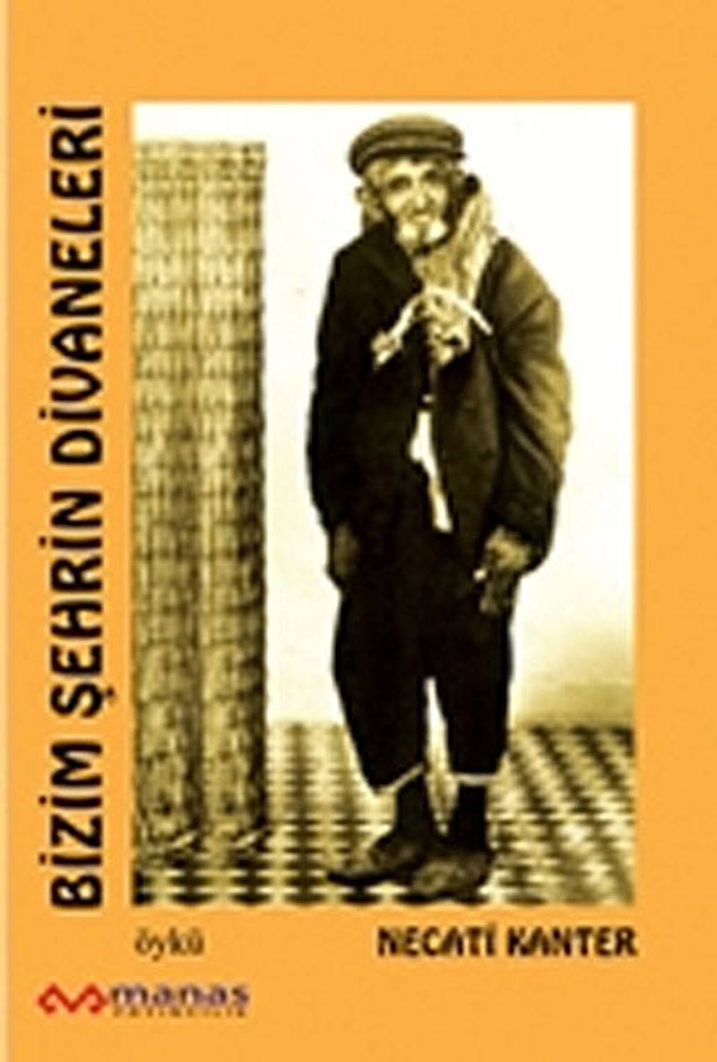 Bizim Şehrin Divaneleri kitap kapağı