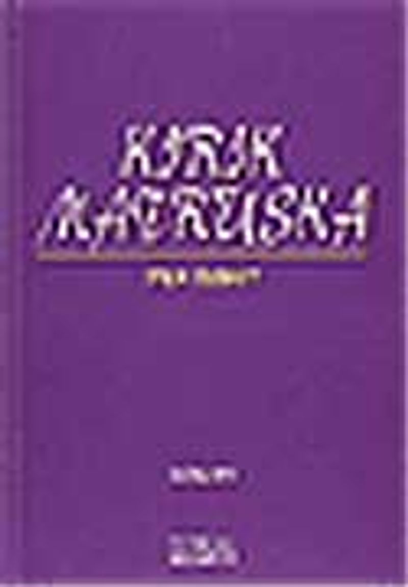 Kırık Matruşka kitap kapağı