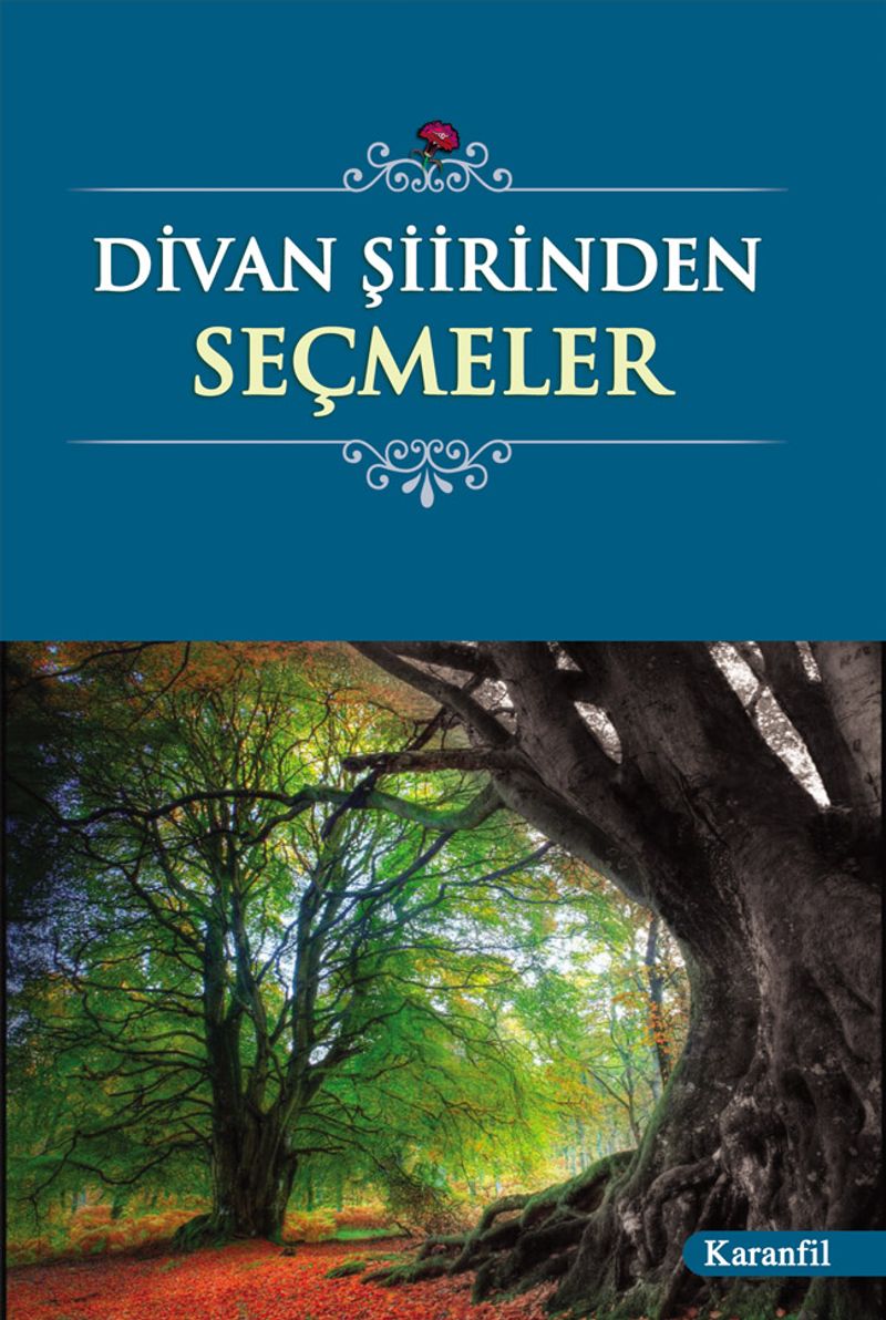 Divan Şiirinden Seçmeler kitap kapağı