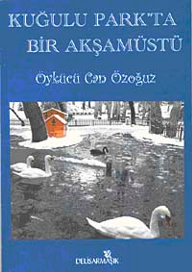 Kuğulu Park'ta Bir Akşamüstü kitap kapağı