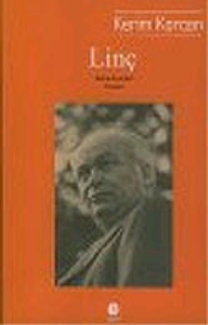 Linç kitap kapağı