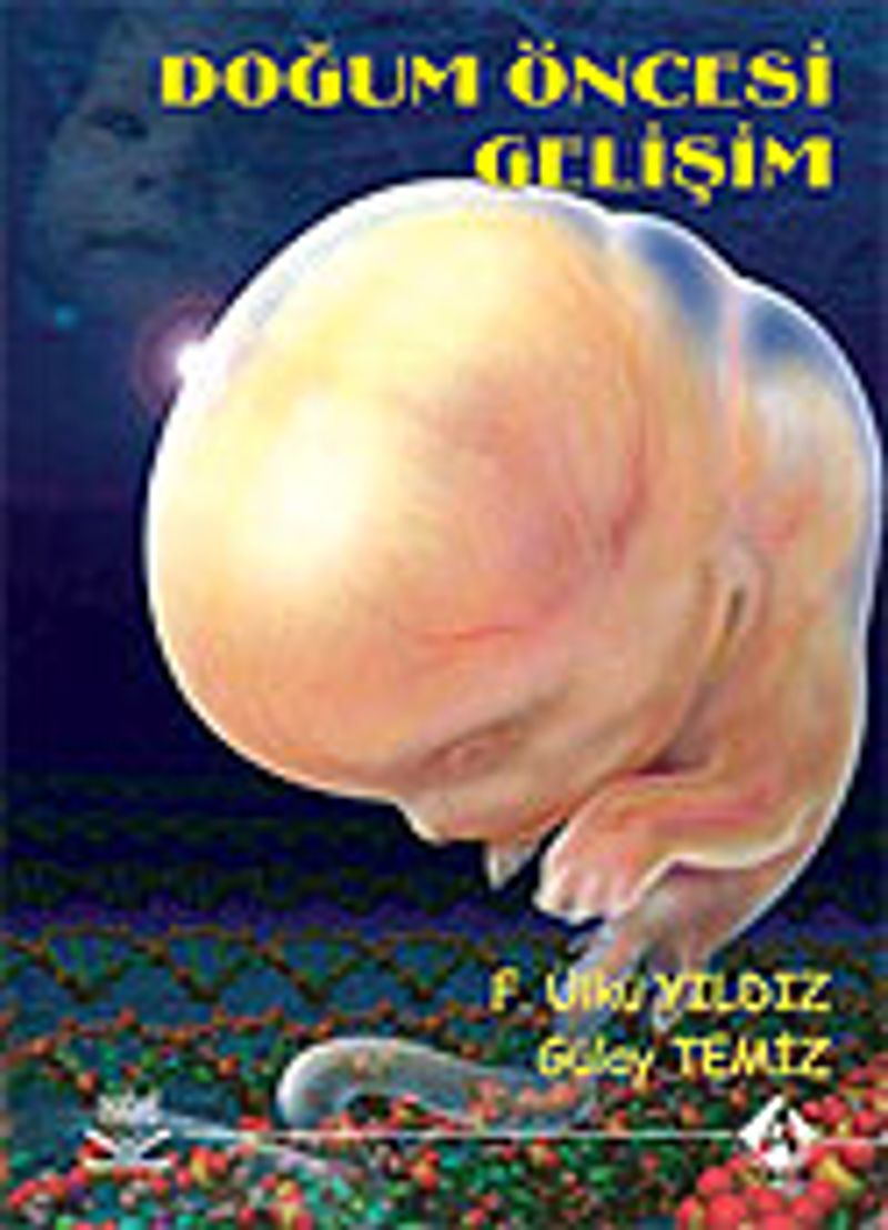 Doğum Öncesi Gelişim kitap kapağı