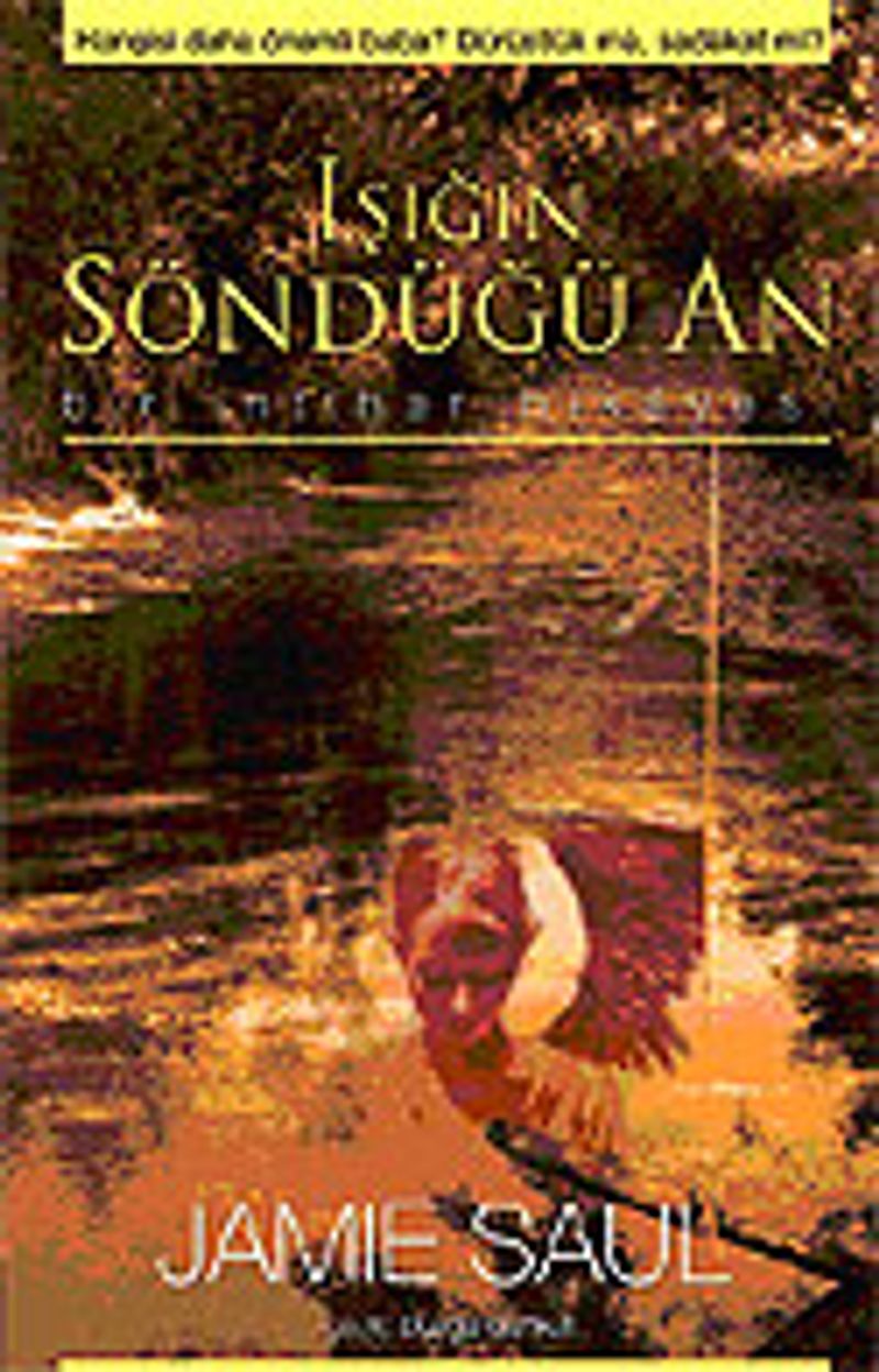 Işığın Söndüğü An kitap kapağı