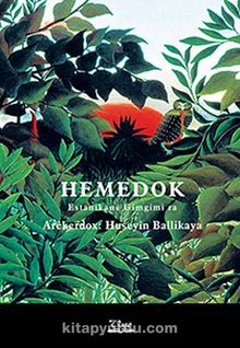 Hemedok kitap kapağı