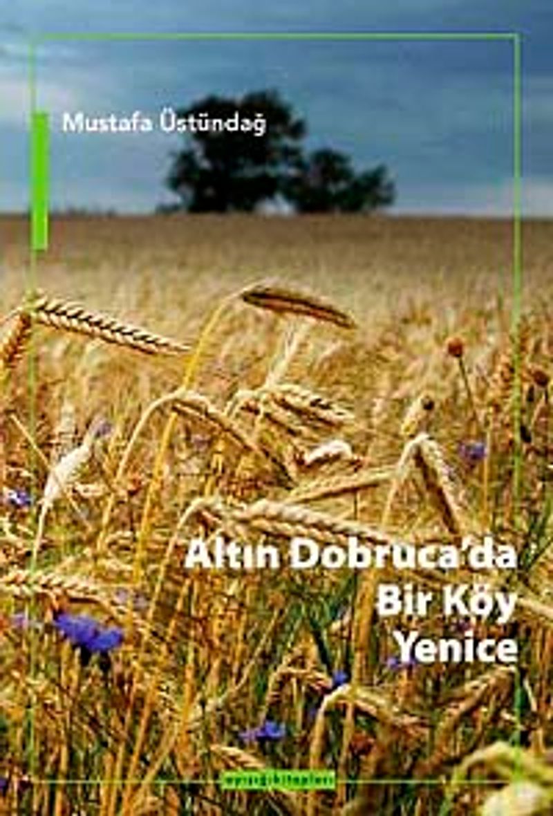 Altın Dobruca'da Bir Köy Yenice kitap kapağı