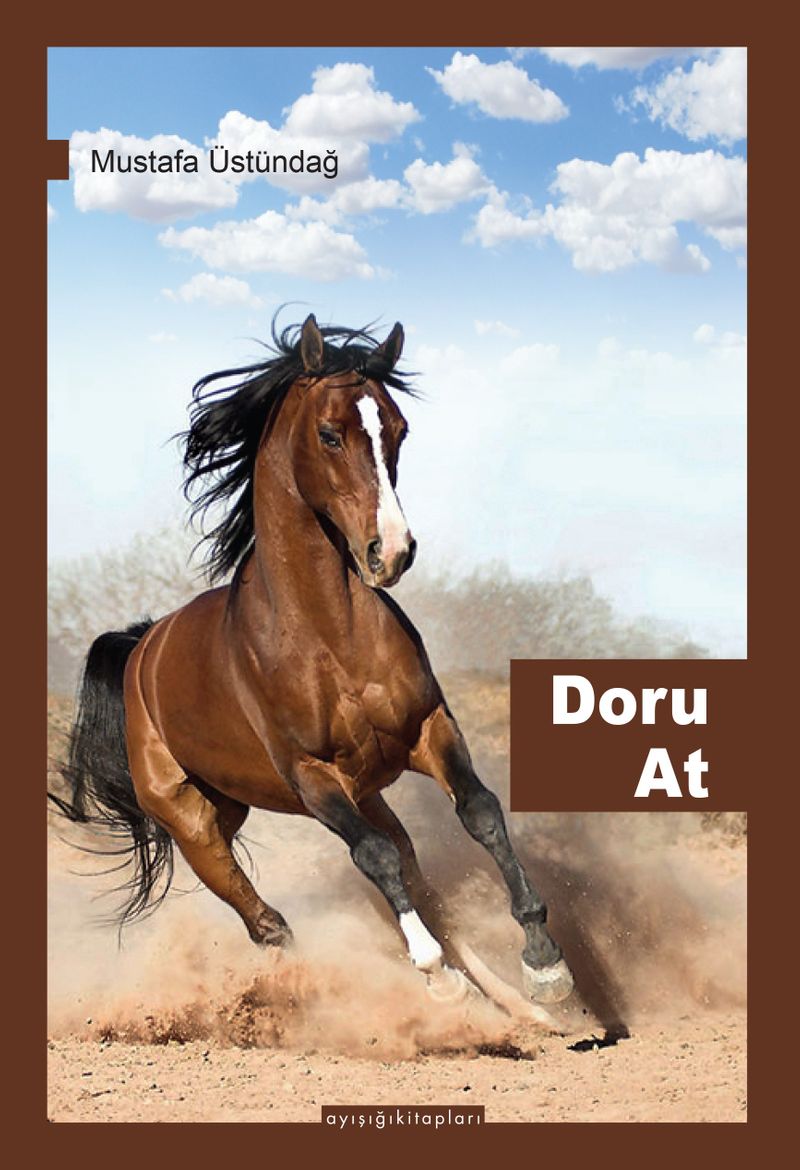 Doru At kitap kapağı
