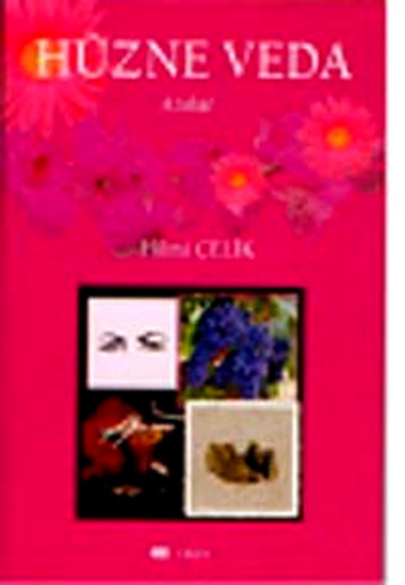 Hüzne Veda: Anılar kitap kapağı