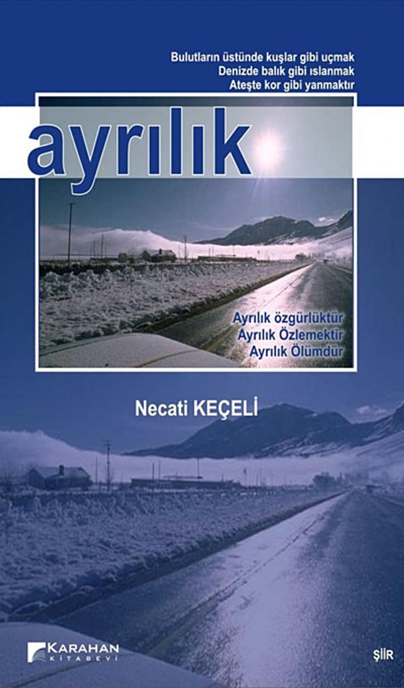 Ayrılık kitap kapağı