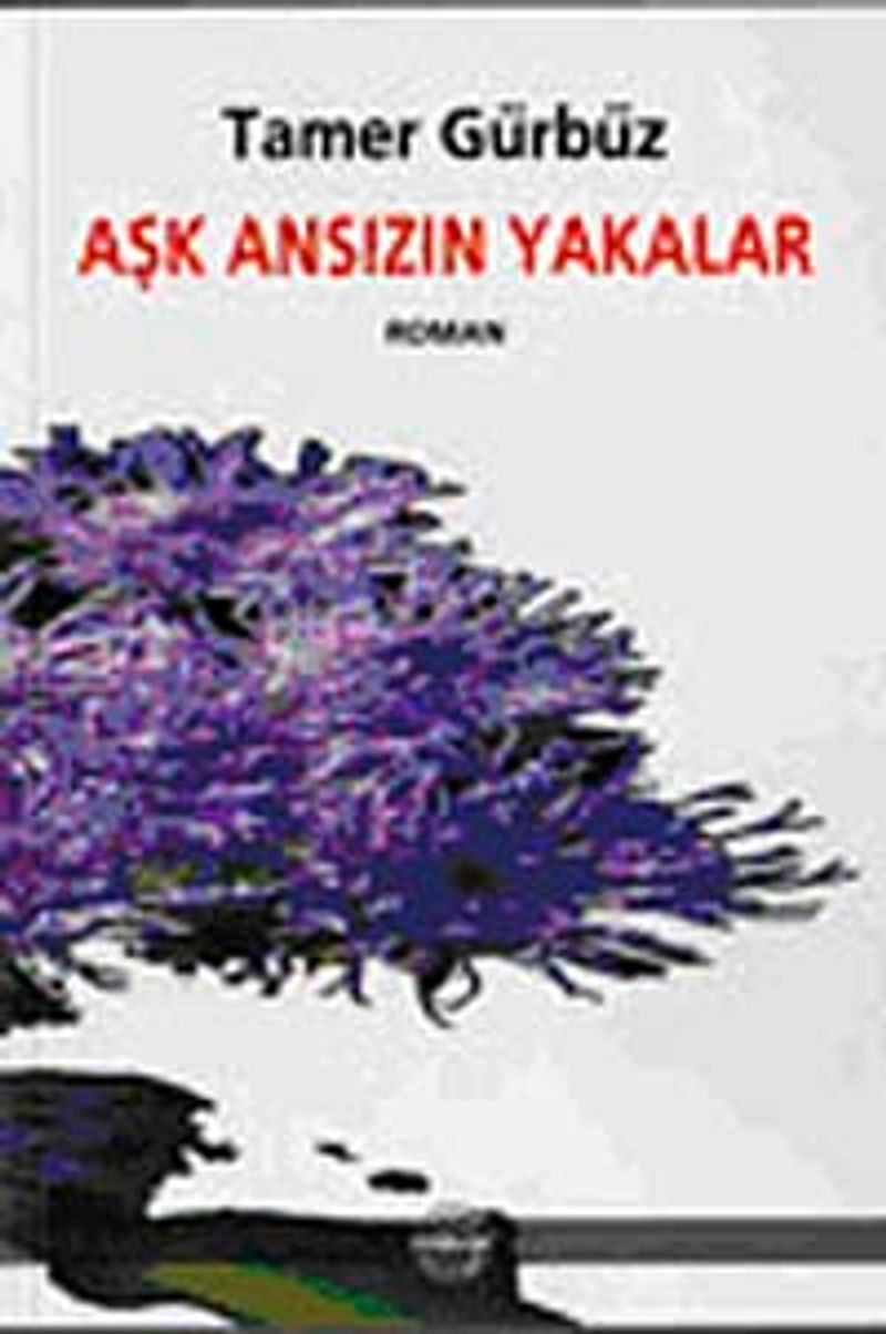 Aşk Ansızın Yakalar kitap kapağı