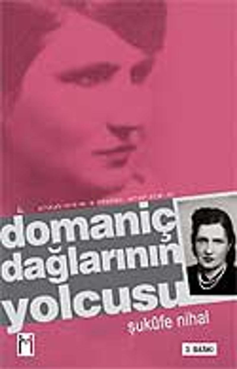 Domaniç Dağlarının Yolcusu kitap kapağı