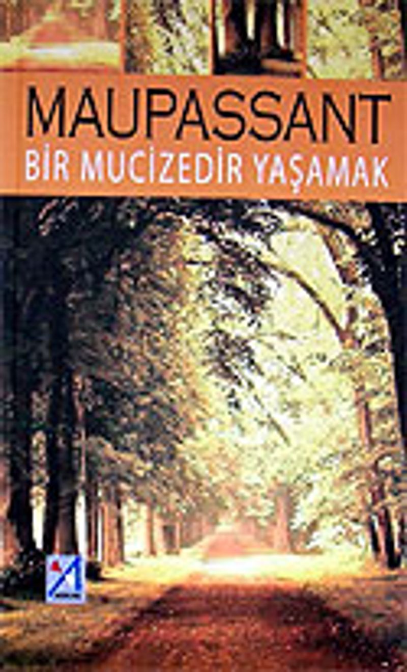 Bir Mucizedir Yaşamak kitap kapağı