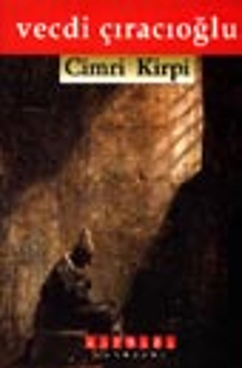 Cimri Kirpi kitap kapağı