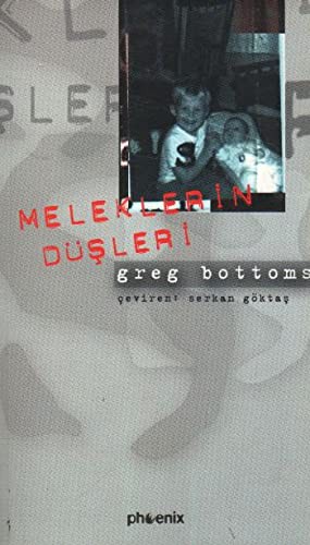 Meleklerin Düşleri kitap kapağı