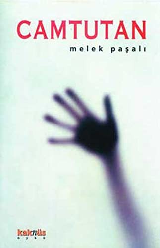 Camtutan kitap kapağı