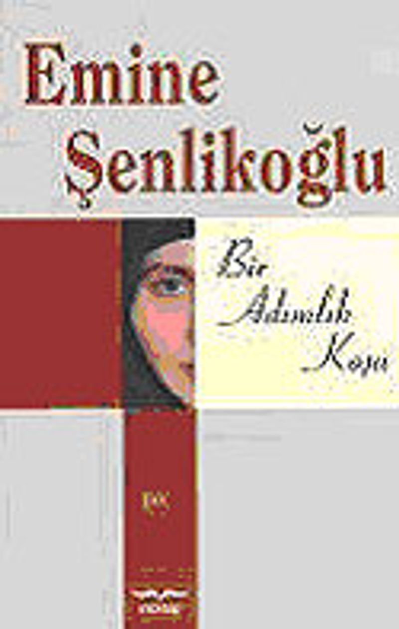 BİR ADIMLIK KOŞU kitap kapağı