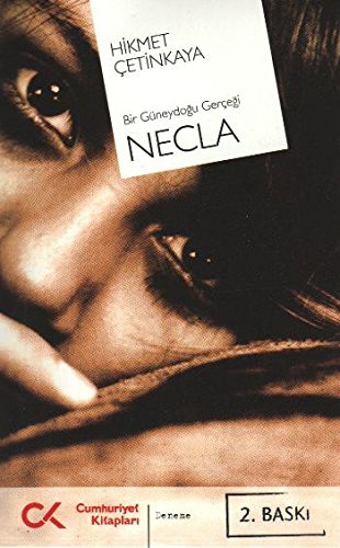 Necla Bir Güneydoğu Gerçeği kitap kapağı