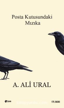Posta Kutusundaki Mızıka (Ciltsiz) kitap kapağı