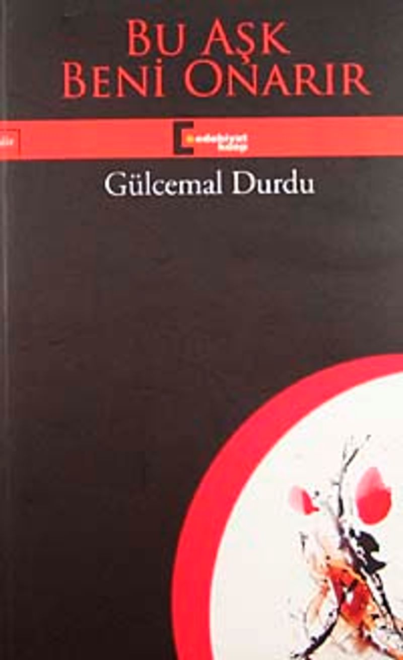 Bu Aşk Beni Onarır kitap kapağı
