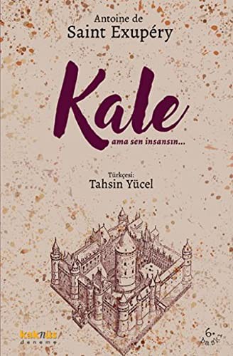 Kale - Ama Sen İnsansın kitap kapağı