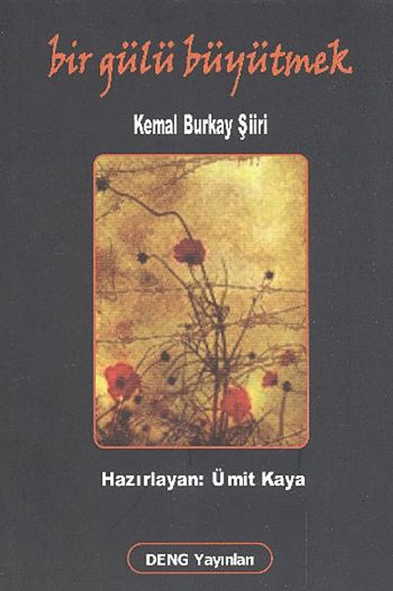 Bir Gülü Büyütmek kitap kapağı