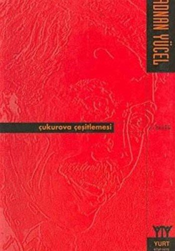 Çukurova Çeşitlemesi kitap kapağı